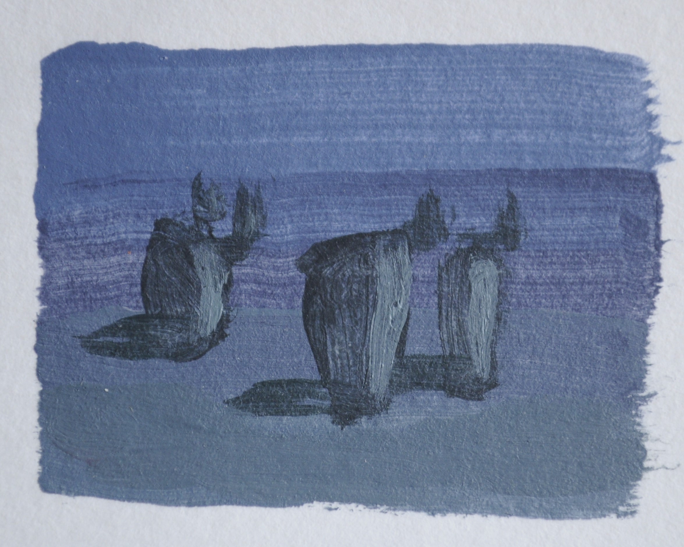 night trees